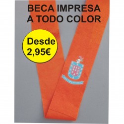 BECA IMPRESA TODO COLOR